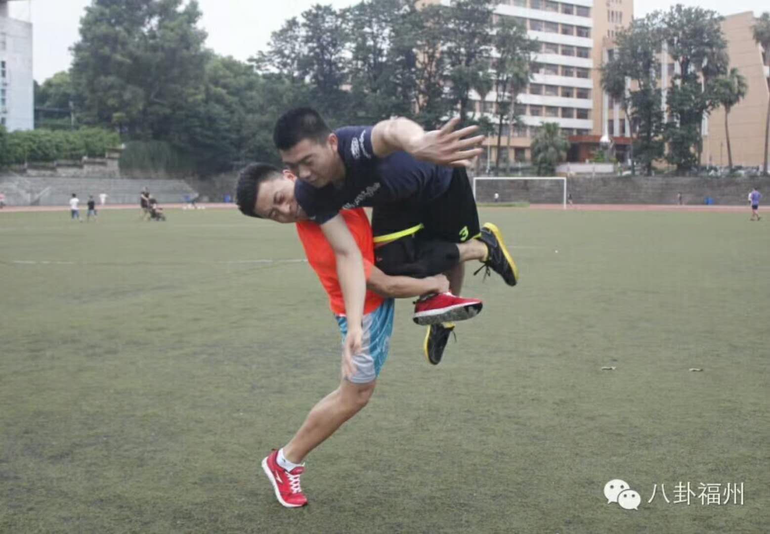 绿茵体育 c21ae