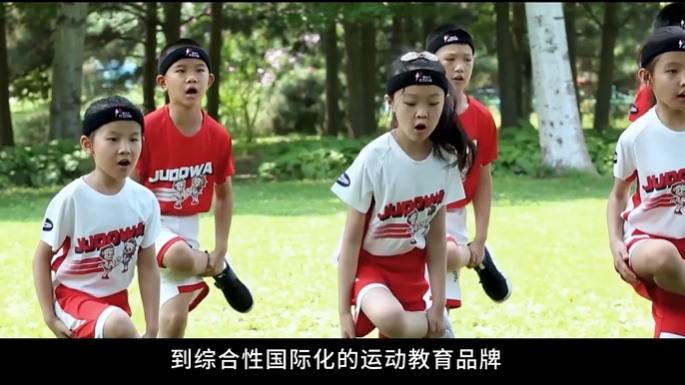 绿茵体育 29ec6