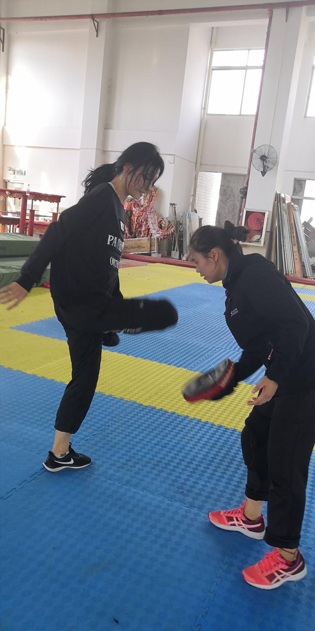 绿茵体育官方网站图片