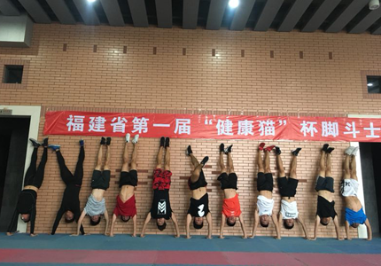 绿茵体育 829b9