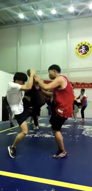 绿茵体育官方网站图片