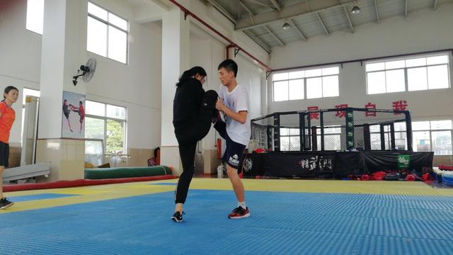 绿茵体育官方网站图片