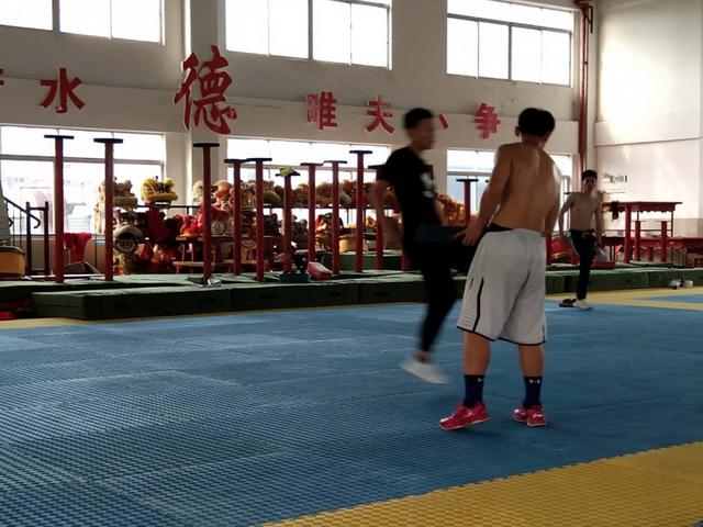 绿茵体育官方网站图片