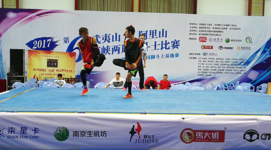 绿茵体育 28830
